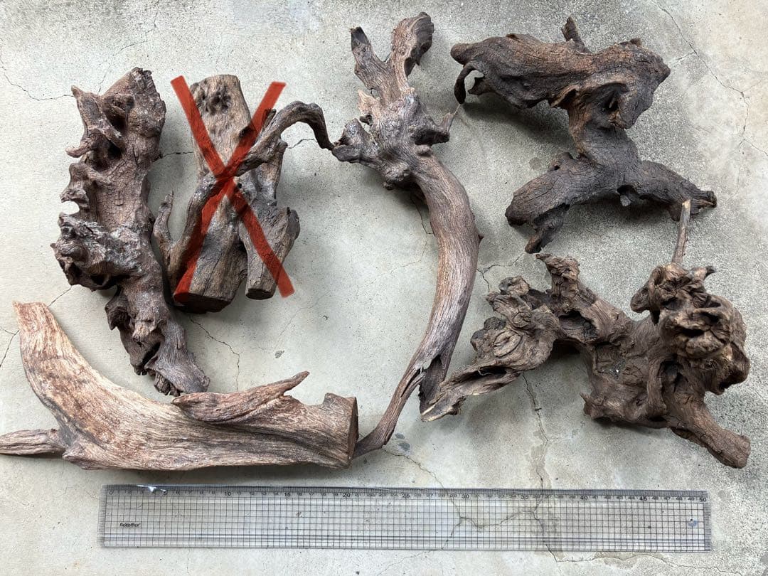 アクアリウム 引退品