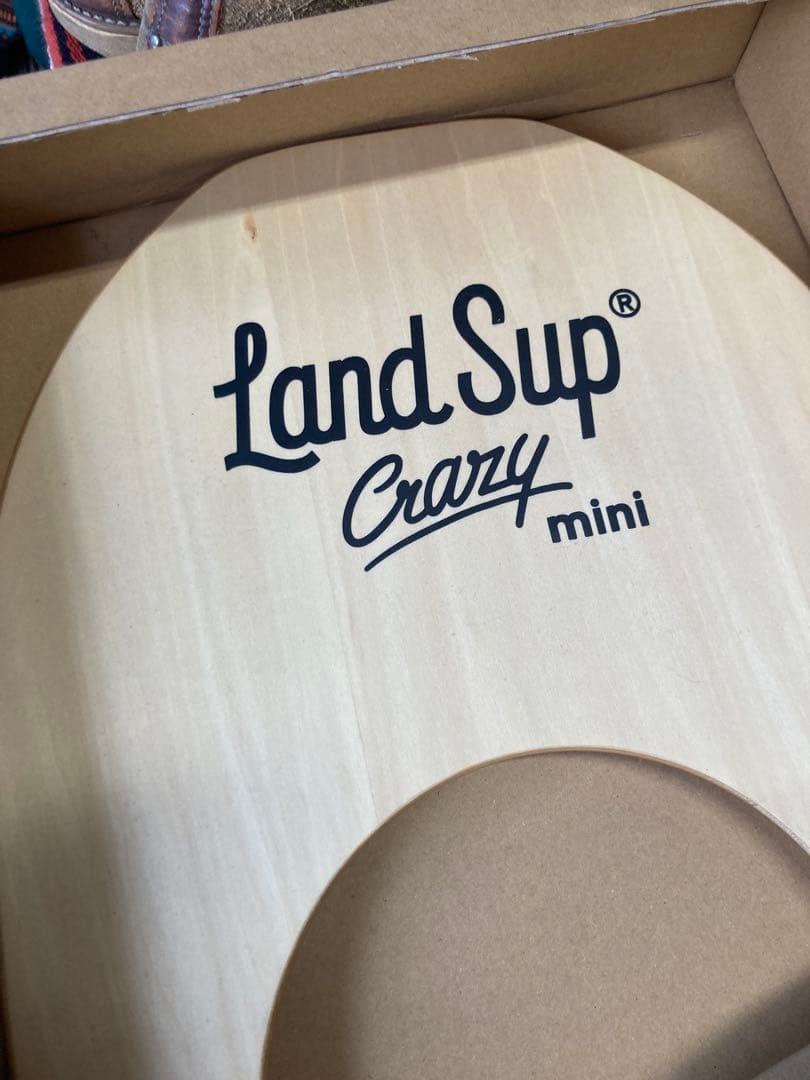 ランドサップ　クレイジーミニ　サーフィン　陸トレ