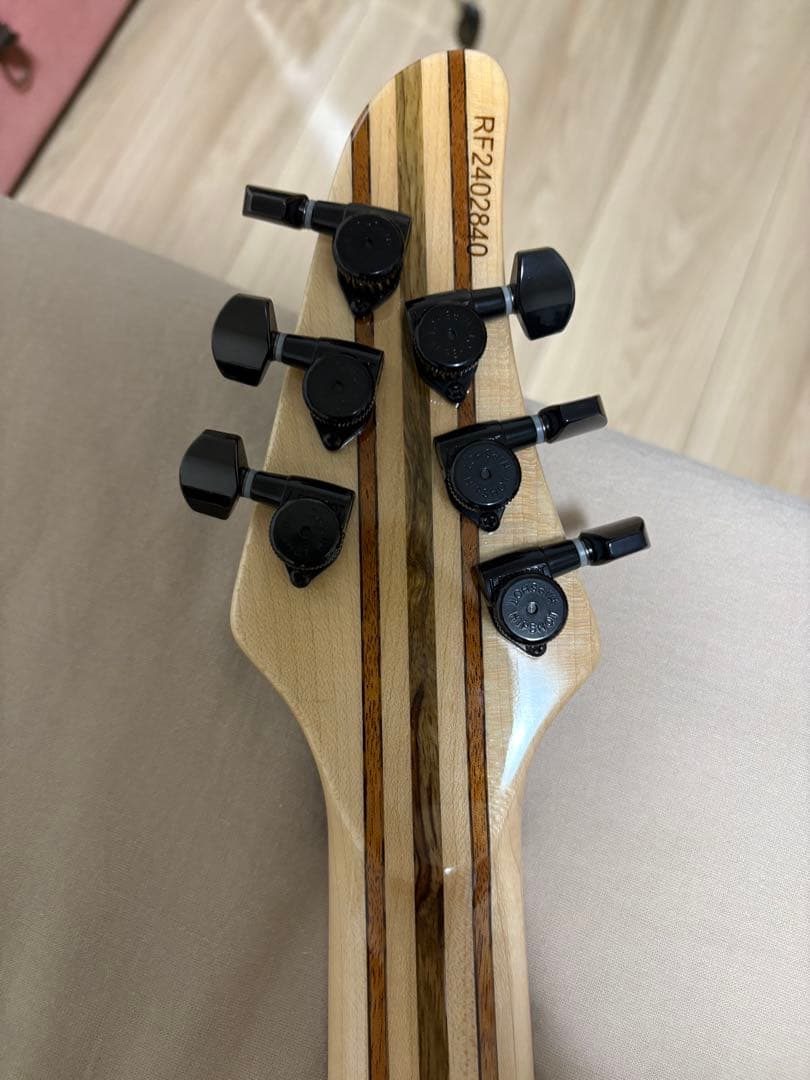 ギター mayones regius 6