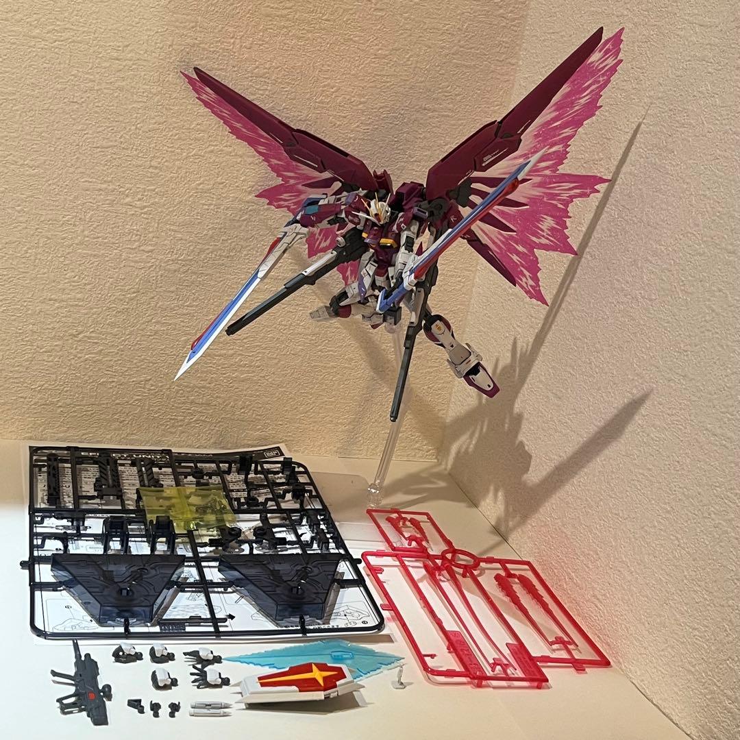 【組立・墨入れ済】RGデスティニーインパルスガンダム＆光の翼（プレバン）