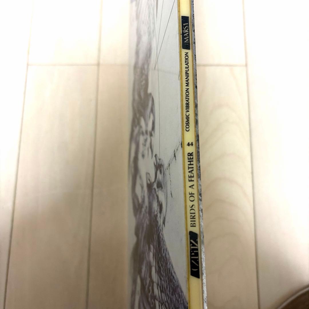 CAPITA キャピタ バードオブアフェザー　144