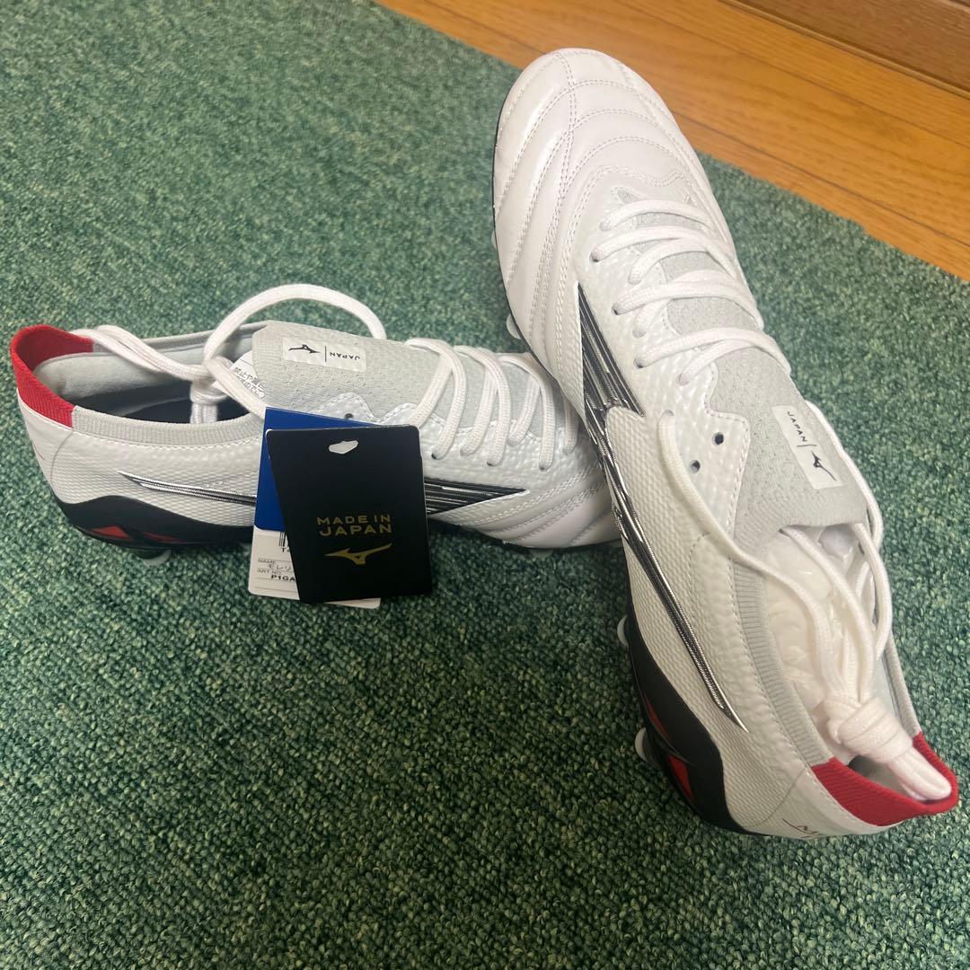 【一般ピーポー】モレリアネオ4β 26cm