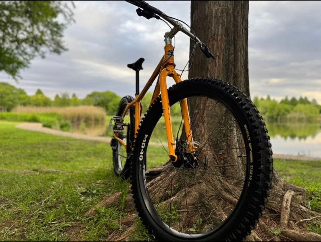 ジャイアントマン様