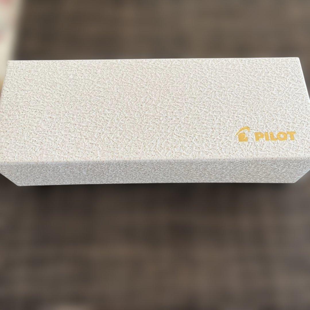 訳あり 【新品未使用】PILOT　パイロット　　　　蒔絵万年筆　漆　國光會