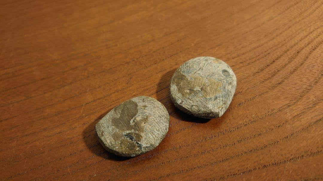 アンモナイト　恐竜　古代貝　化石　標本　鑑賞品　博物館保存　２個