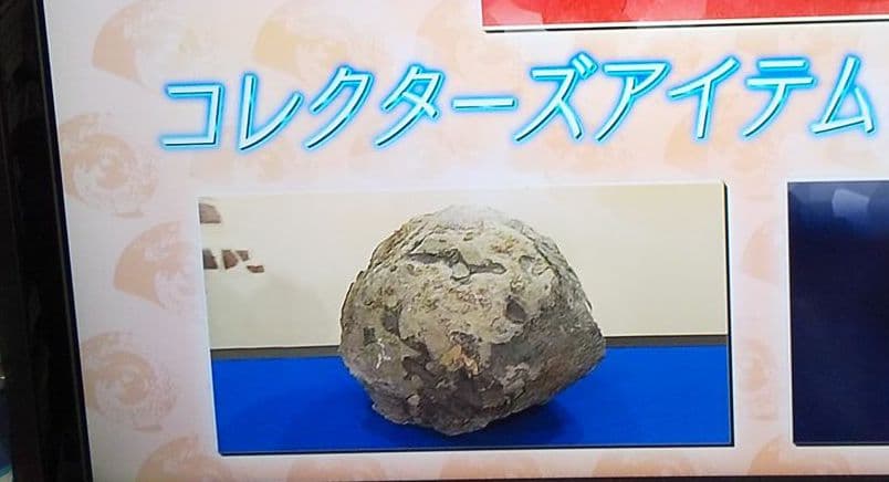 古生代ハチノスサンゴ 化石塊博物館級