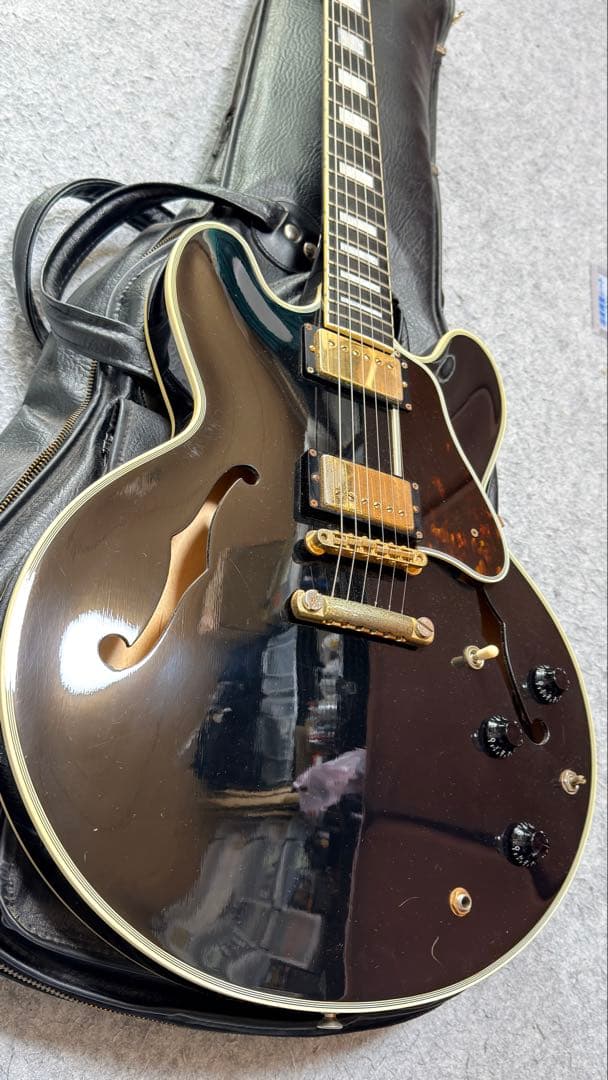 ギター TOM HOLMES THC SemiHollow Standard Block