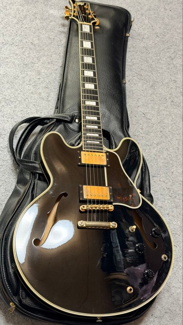 ギター TOM HOLMES THC SemiHollow Standard Block