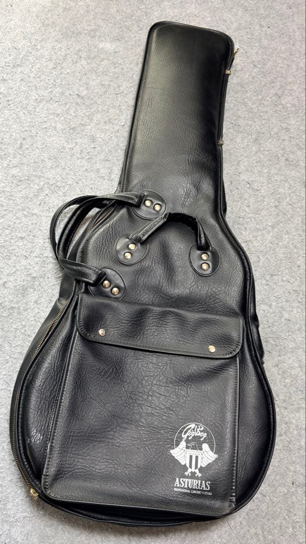 ギター TOM HOLMES THC SemiHollow Standard Block