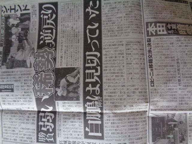 大谷翔平、亀田興毅、白鵬　　大相撲　　2013年