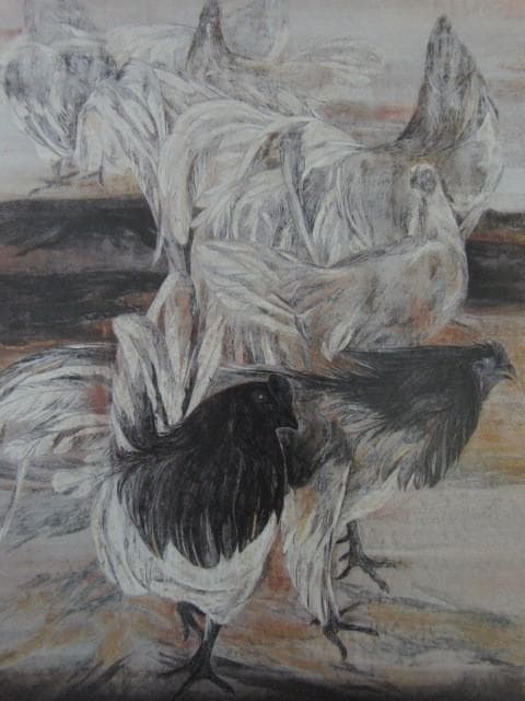 松井和弘、【群鶏（あさ図）】、希少な額装用画集より、状態良好、新品額装付