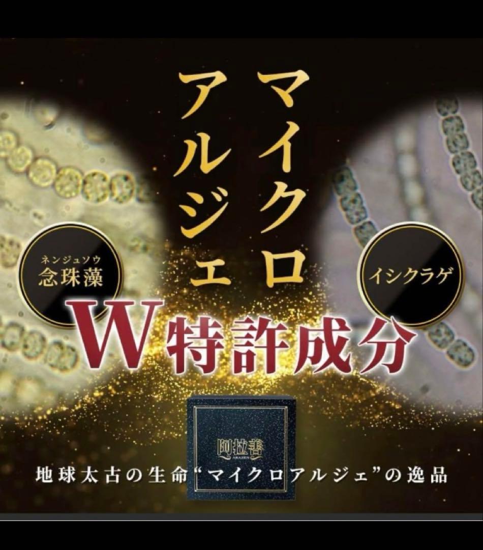 【早い者勝ちお一人様限定】マイクロアルジェ　阿拉善【未開封】