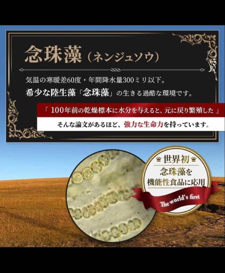 【早い者勝ちお一人様限定】マイクロアルジェ　阿拉善【未開封】