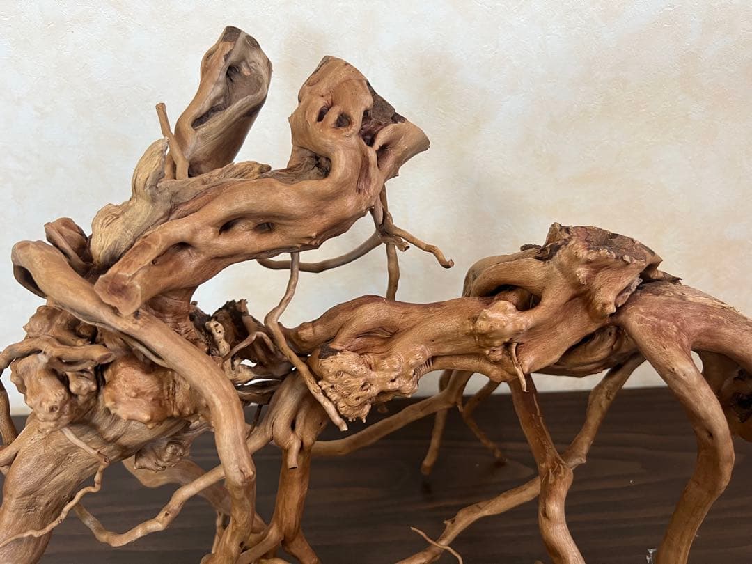 13004 ブランチウッド　流木　アクアリウム　沈水確認済