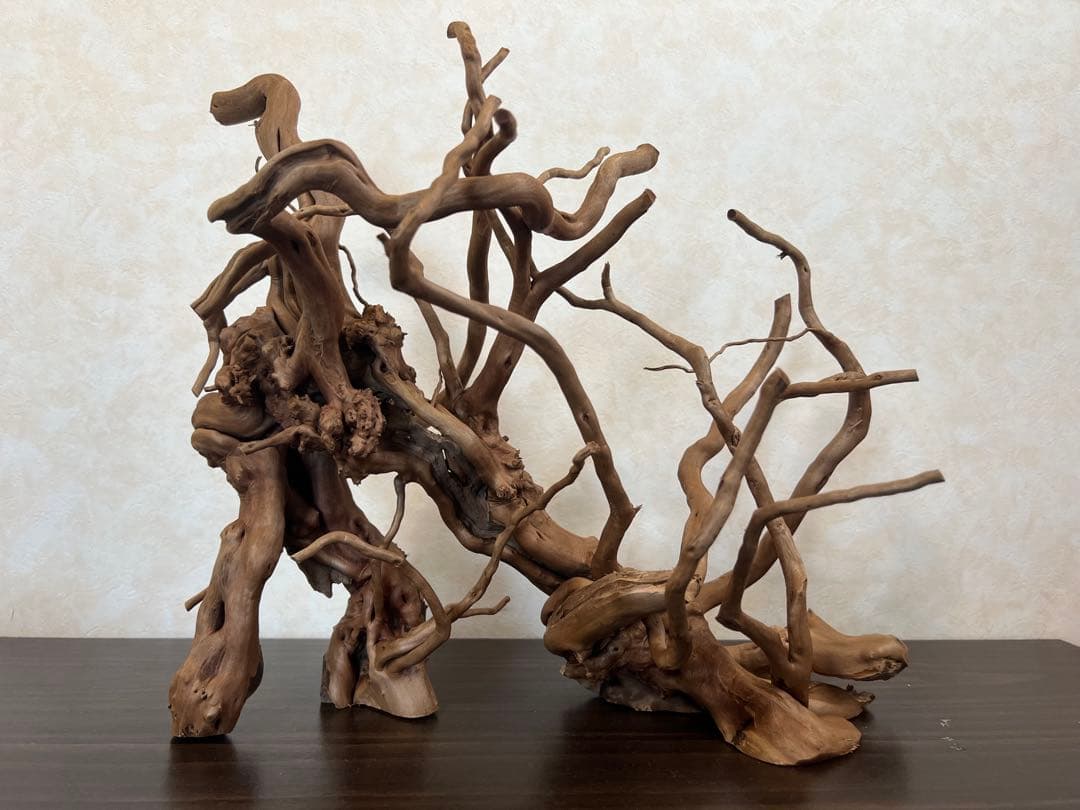 13004 ブランチウッド　流木　アクアリウム　沈水確認済