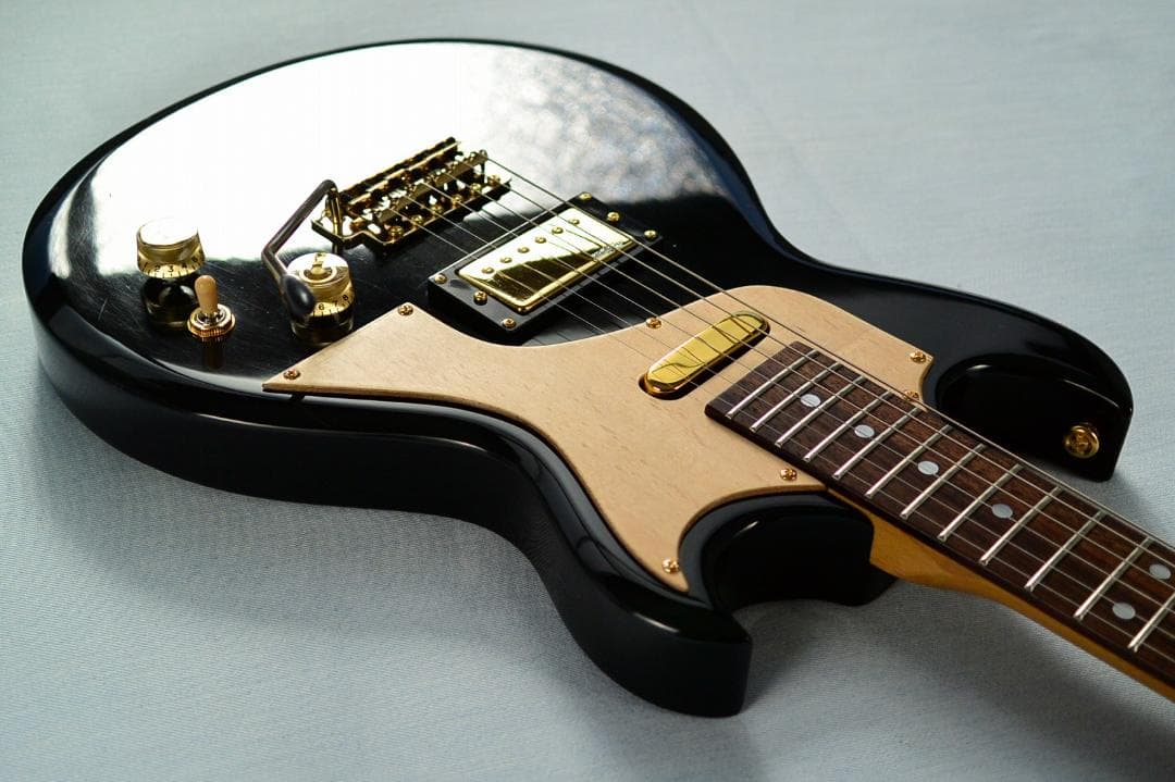 Aria Pro II CS-350T ピックアップ増設 バーズアイピックガード