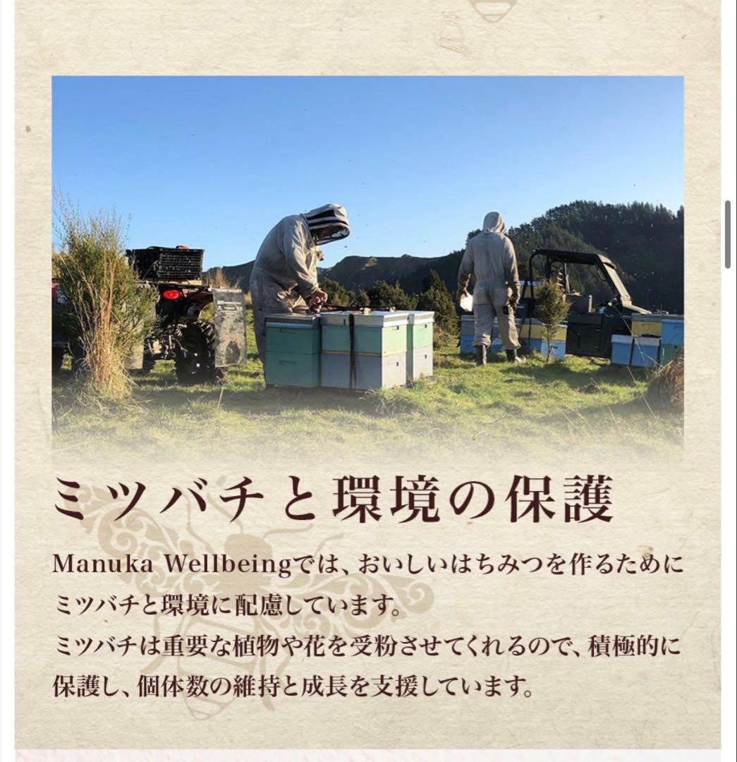 マヌカハニー UMF 20+ (MGO 850+) 450g