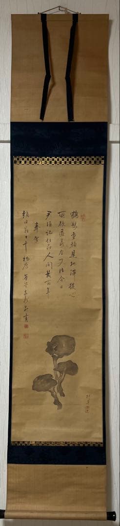 掛け軸　椿年絵／中井董堂（敬義）贊［霊芝之図］絹本　共箱！