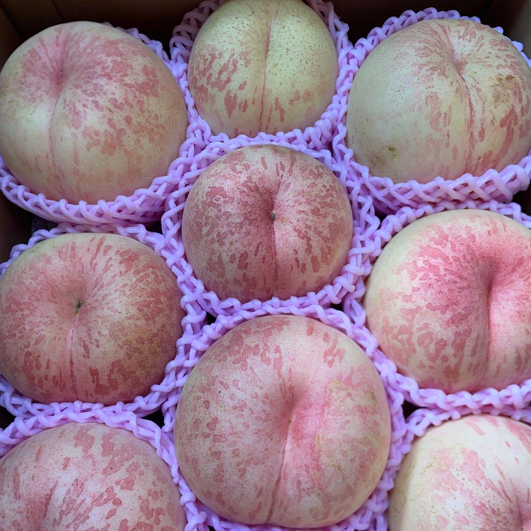 山形県産　桃①訳ありシーエックス　5キロ箱使用✖︎2