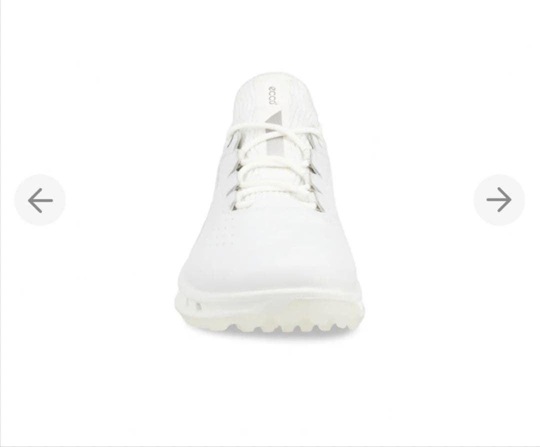 ecco バイオム C4 BIOM