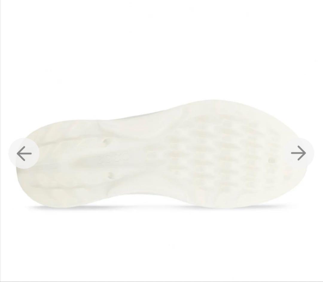 ecco バイオム C4 BIOM