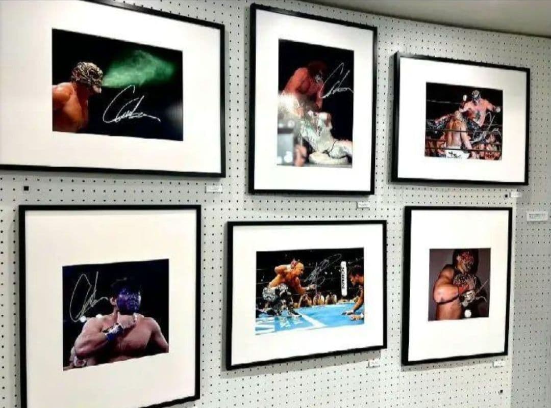 武藤敬司＊日刊 額写真 直筆サイン入り⑤