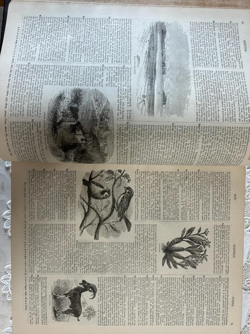 希少 豪華絢爛 旧約・新約聖書 ヴィクトリア朝時代 アンティーク