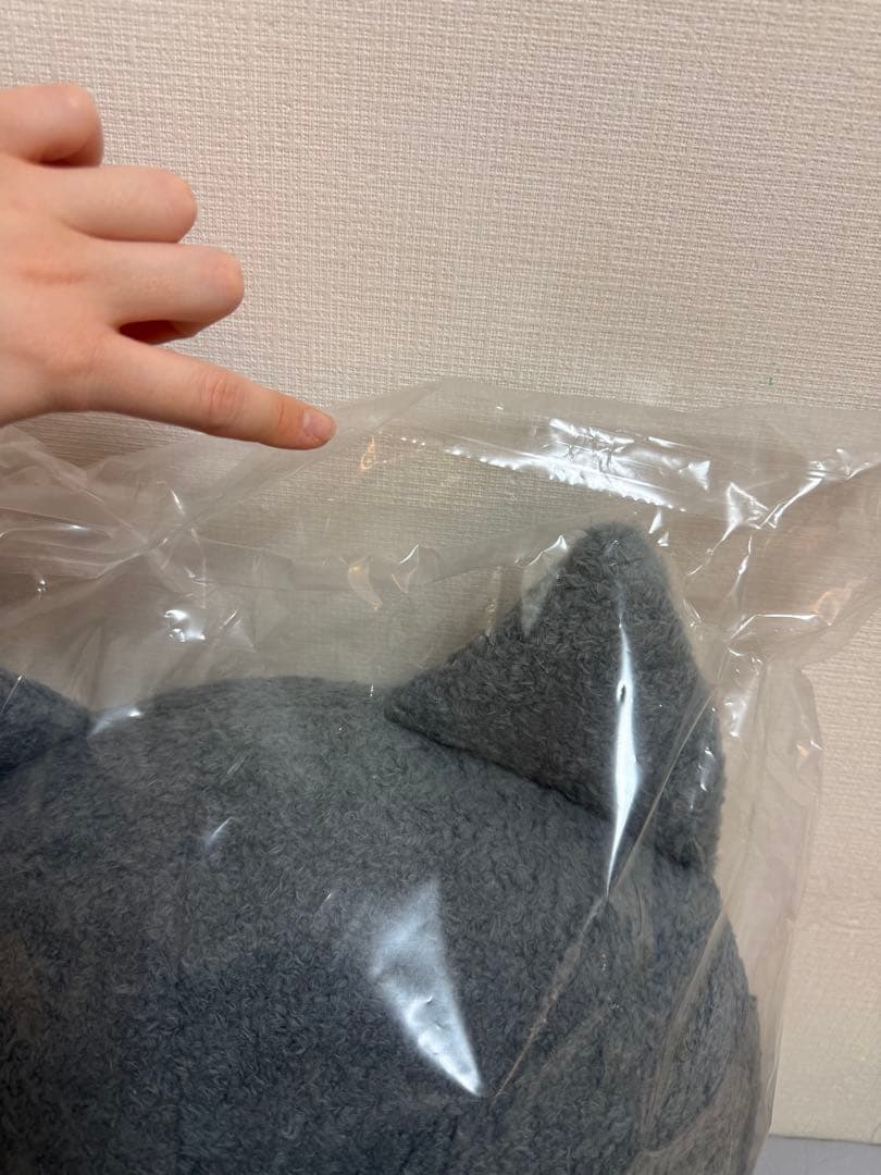 Zeroni フラットぬいぐるみ　ウンニニ