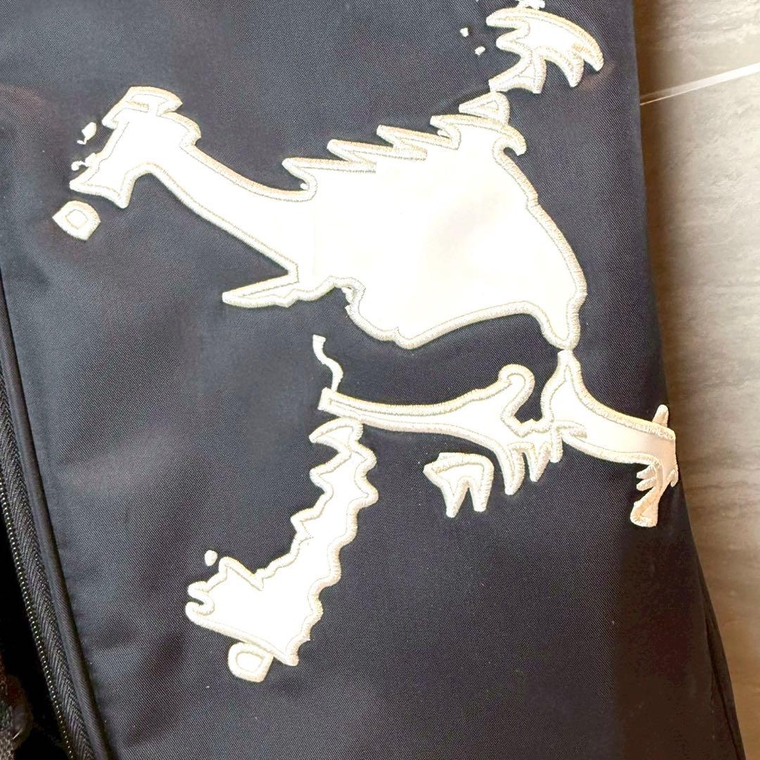 【美品】OAKLEY SKULL キャディバッグ　9.0型