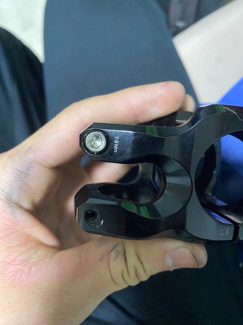 MOUNTAIN STEMSステム