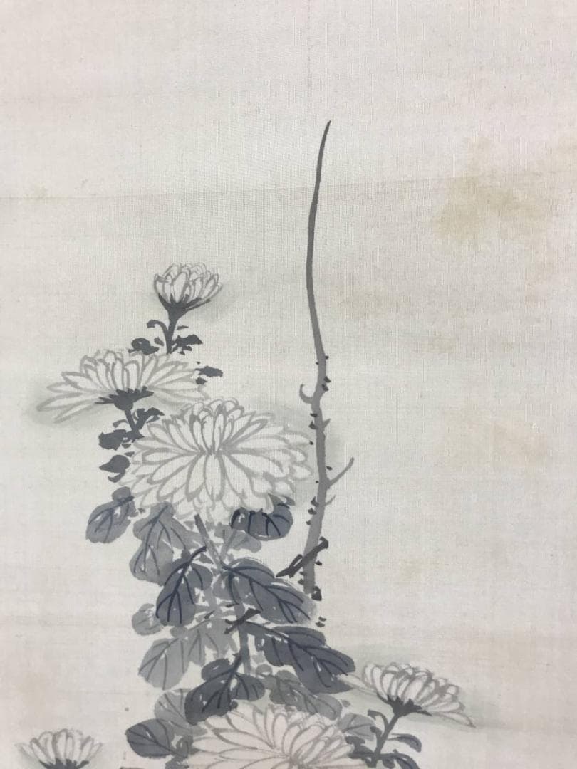 【真作】福岡稲城/菊図/花図/掛軸/名家伝来/AD-301