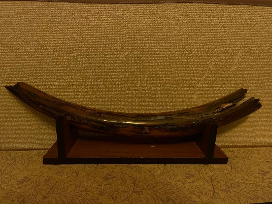 ★【実物】 大きなマンモスの牙 希少な一本モノ！ 美しい天然模様！