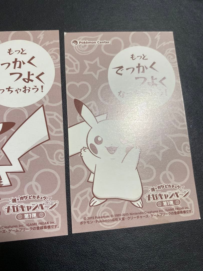 ポンチョを着たピカチュウ 名刺カード メガリザードンXY ポケモンセンター