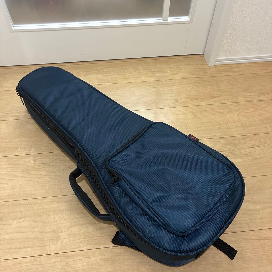 プレイテック　Playtech F型マンドリン　PFM10F ギグバック付き！