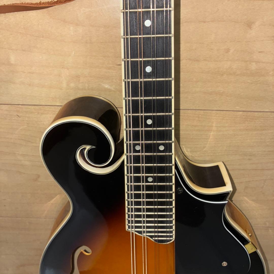 プレイテック　Playtech F型マンドリン　PFM10F ギグバック付き！