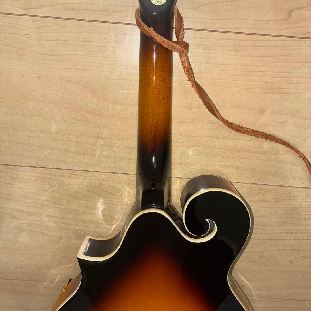 プレイテック　Playtech F型マンドリン　PFM10F ギグバック付き！