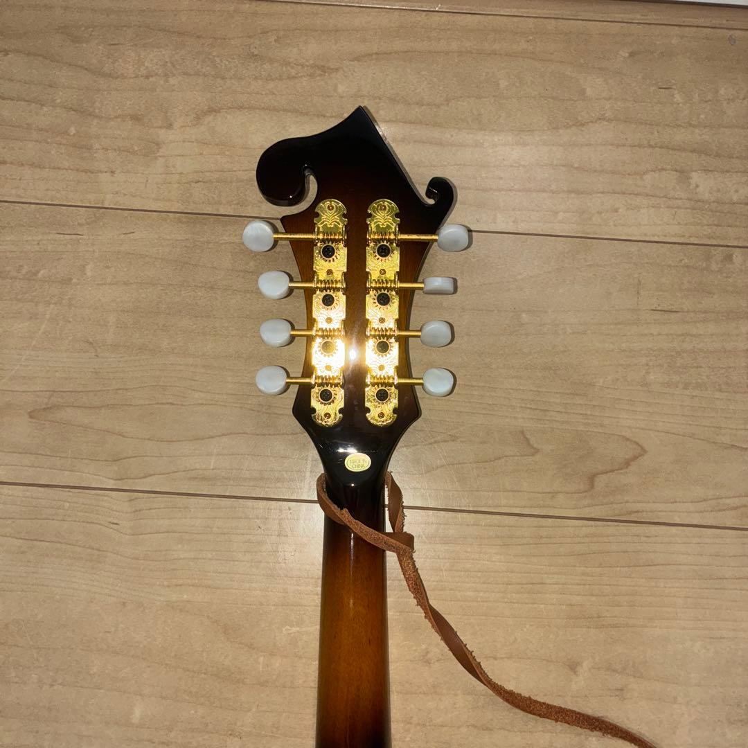 プレイテック　Playtech F型マンドリン　PFM10F ギグバック付き！