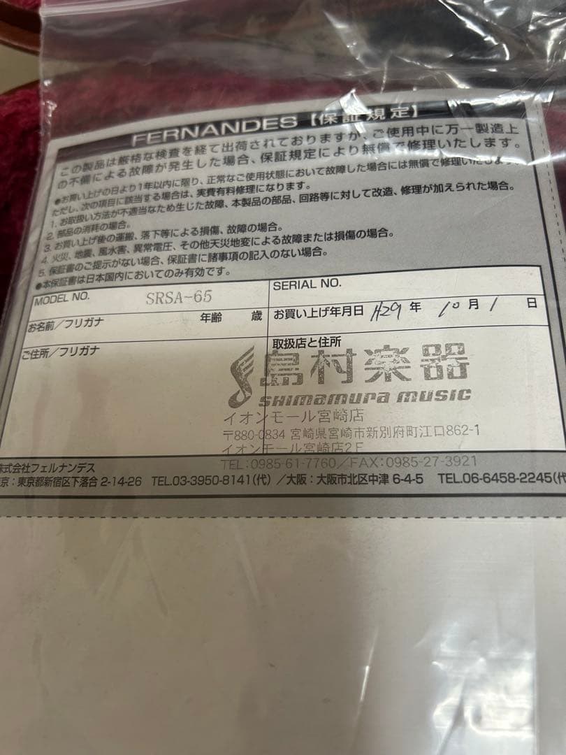 FERNANDES BUNNY SRSA-65 セミアコ　ハードケース付き