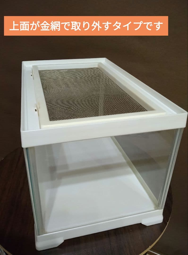 エキゾテラ　飼育ゲージ 1〜6個希望数売　昆虫、爬虫類、両生類　20×20×31