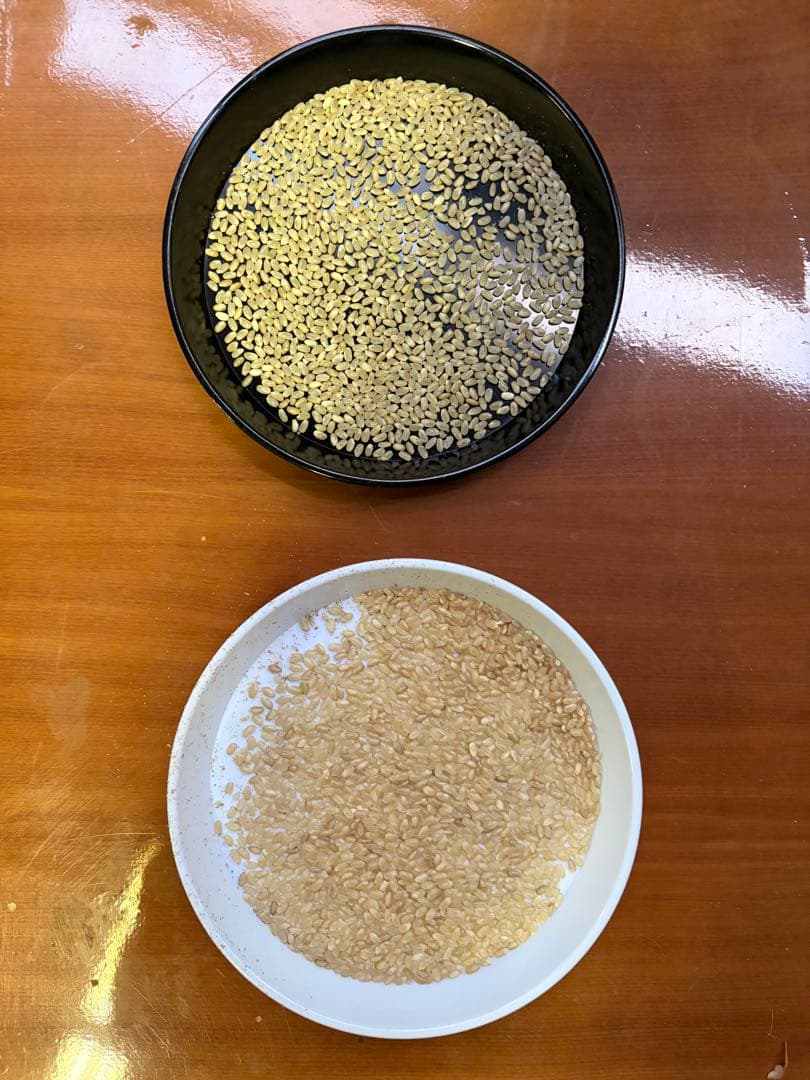 令和7年産　【中米】　魚沼産コシヒカリ　白米　20kg