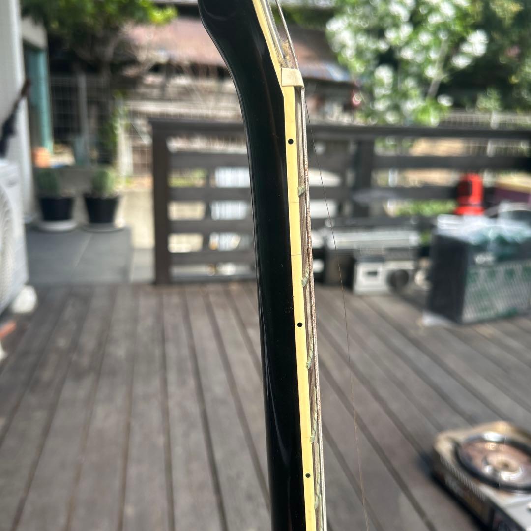 ビンテージ➕新機能　東海楽器の海外ブランドGESSION LP