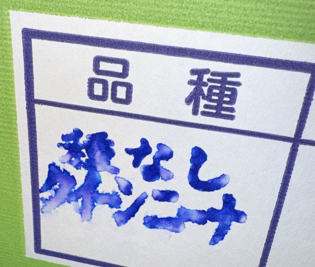 山梨県産ぶどう⭐️シャインマスカット⭐️9房入り箱込み約5.6キロ