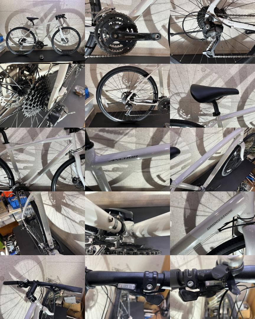 BRIDGESTONE ANCHOR RL1 disc ブリヂストン　ホワイト