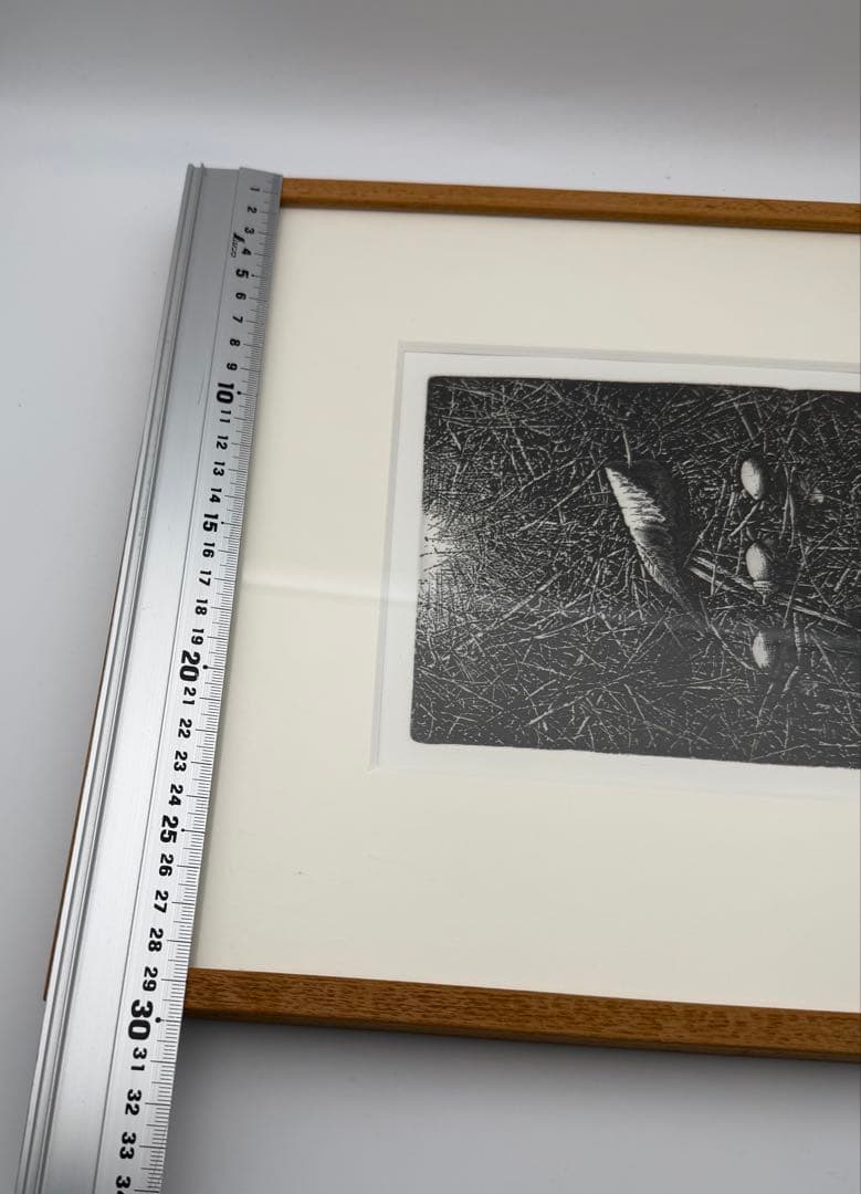 中林忠良 転位 '93 - 地 (種子) エッチング 594/800静物画　版画