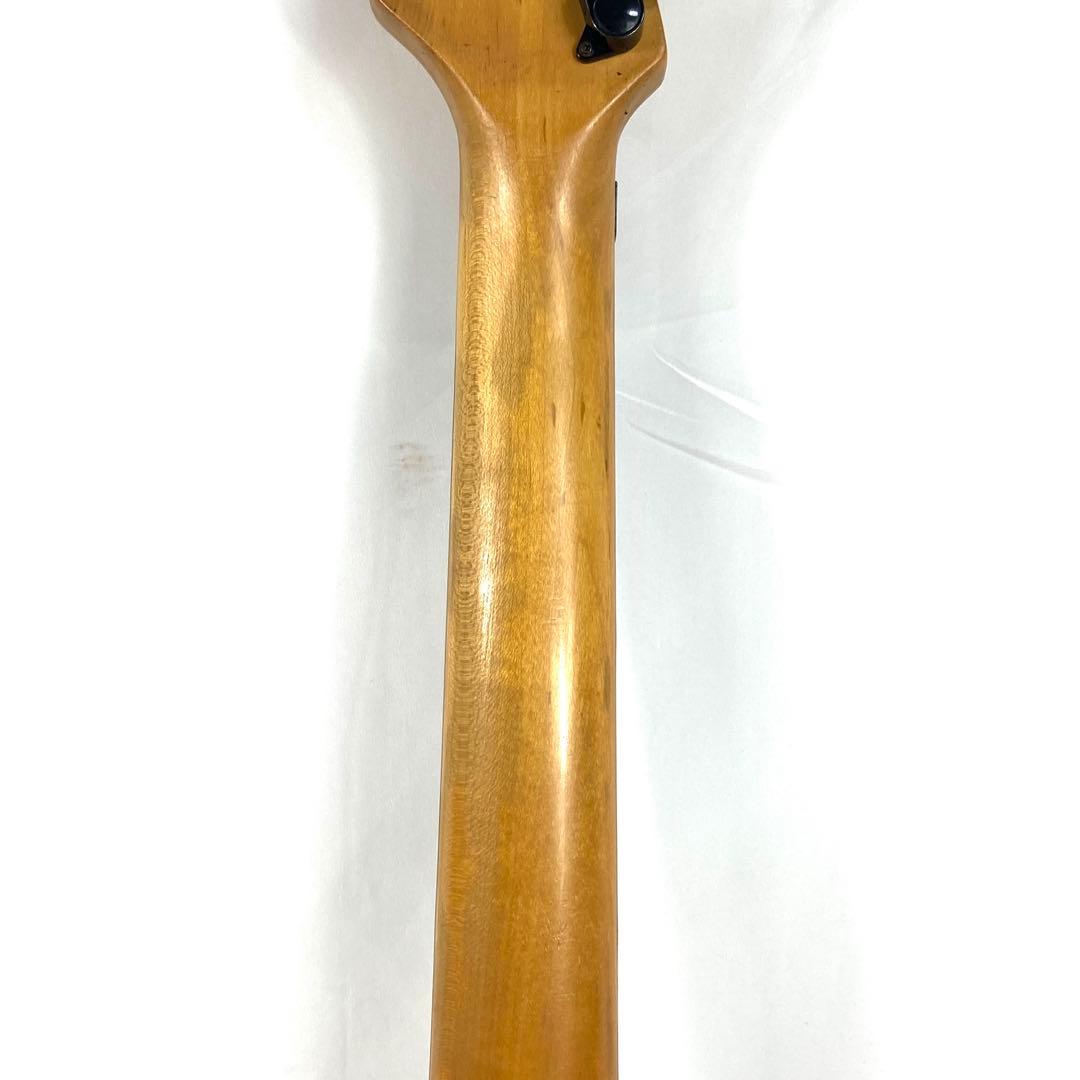 Washburn Stevie Salas Model エレキギター 動作品