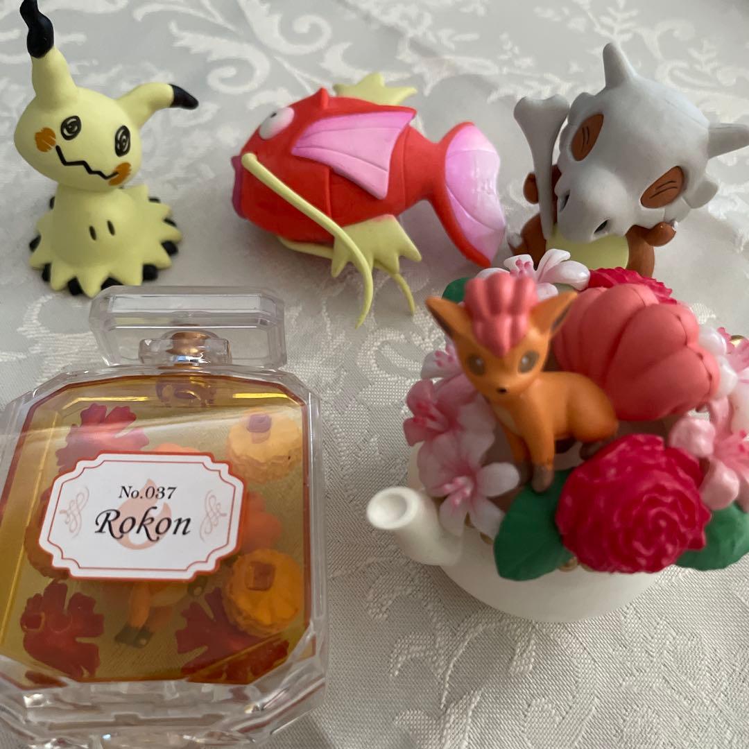 合計11個　ポケモンテラリウム4 +他6個　ブラッキーなし