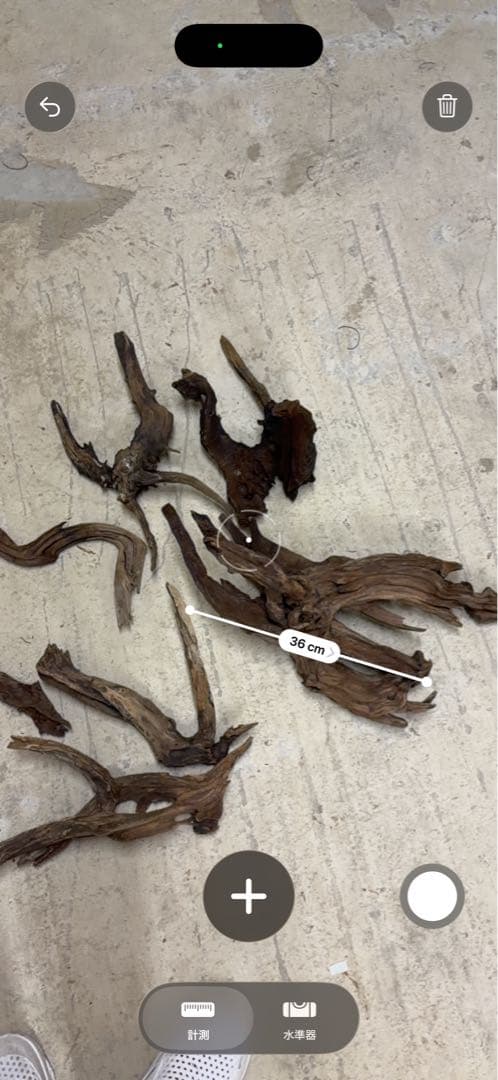 ADA ホーンウッド　流木　アクアリウム　テラリウム　大型