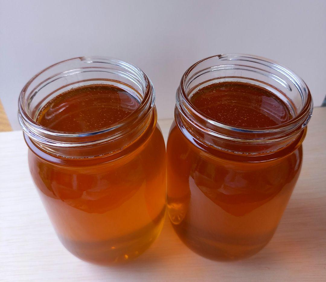 日本蜜蜂ハチミツ(600g×2)