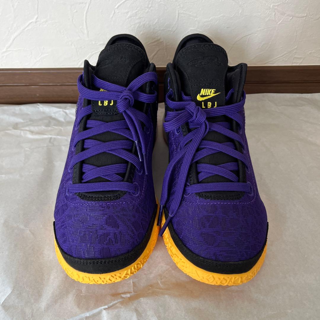 新品　Nike バスケットボールシューズ　25.0 DR8788-500