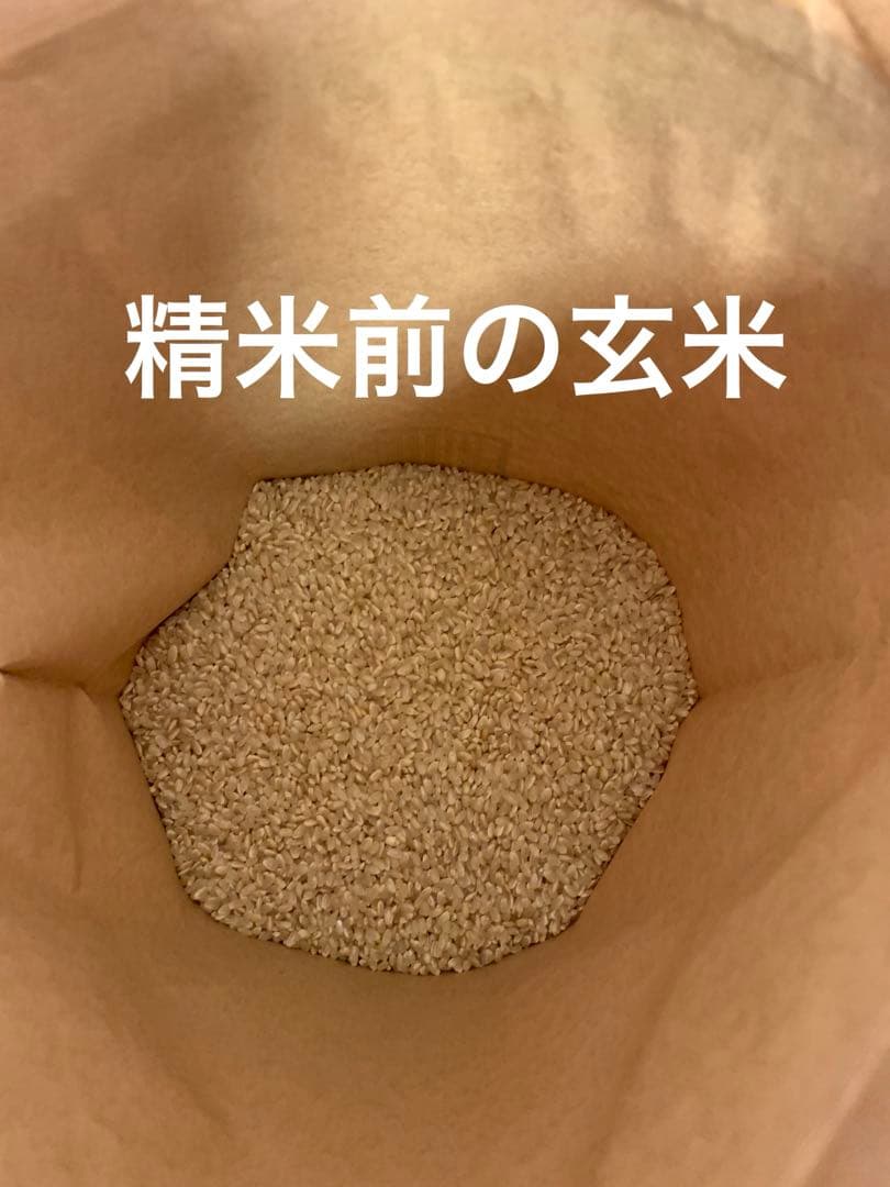 令和7年度産　新米ヒノヒカリ　玄米20kg(送料込)減農薬のお米